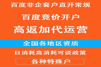 案例研究：SEM代运营服务公司的创新策略
